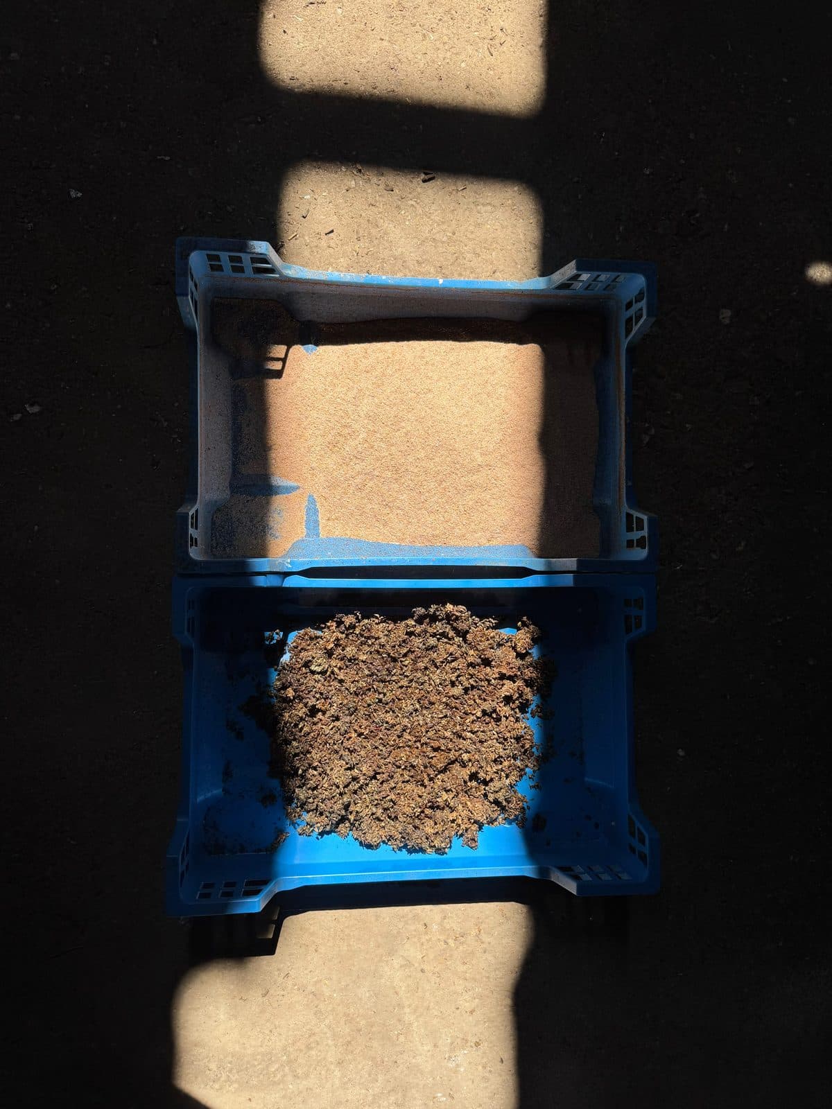 Spent brewers grains recycled from Rebellion Brewery