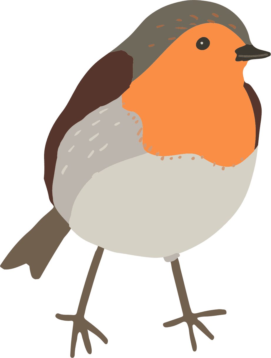 robin